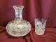 Antique Brilliant Cut Glass Crystal Carafe And Glass Palm, Leaf C1900 Libbey