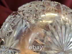 ANTIQUE BRILLIANT CUT GLASS CRYSTAL CARAFE and GLASS PALM, LEAF c1900 LIBBEY